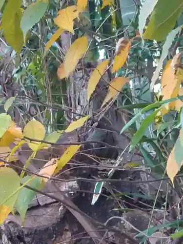 舞岡八幡宮(神奈川県)