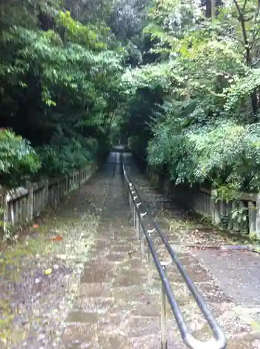 柞原八幡宮の自然