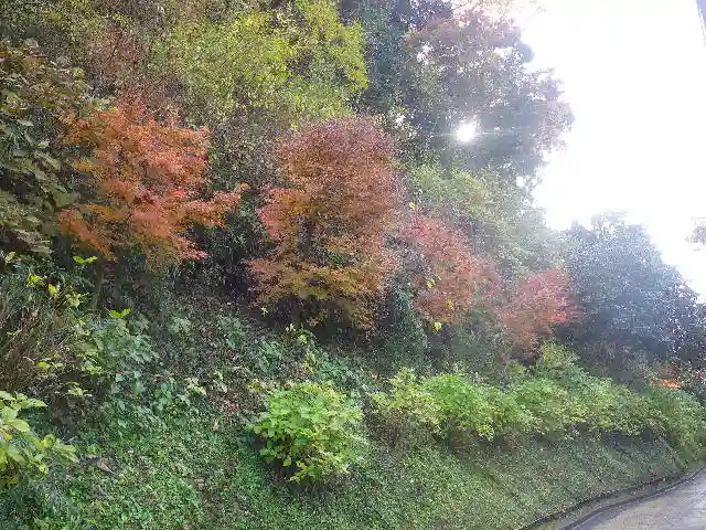 長壽寺(長寿寺)の自然