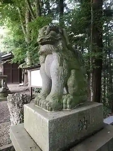 白和瀬神社の狛犬