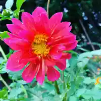 豊景神社の自然