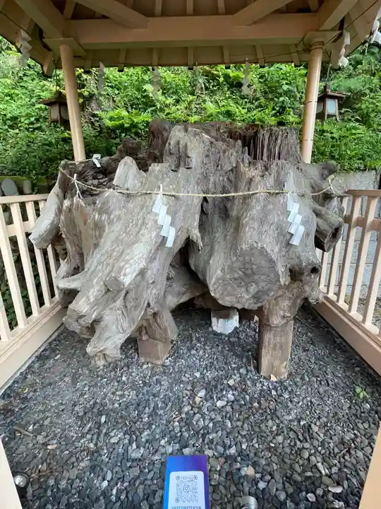 穴澤天神社の自然