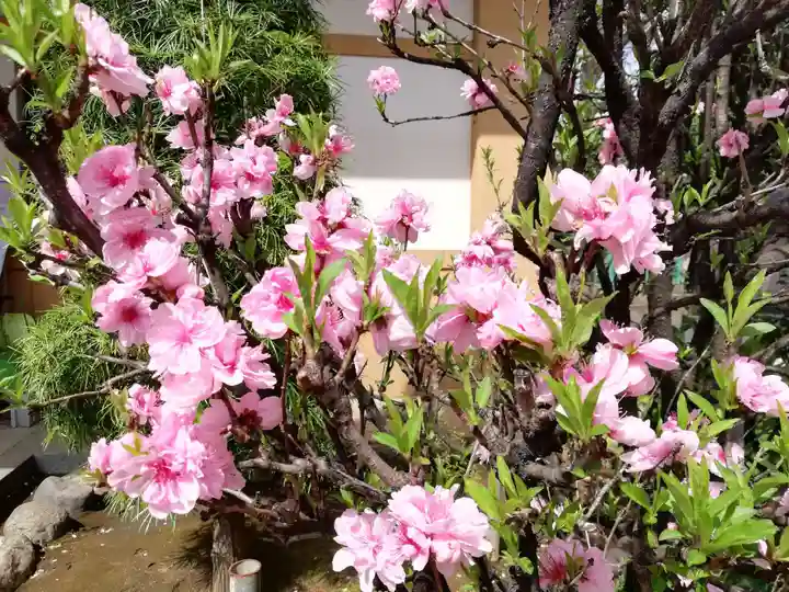 居木神社の自然