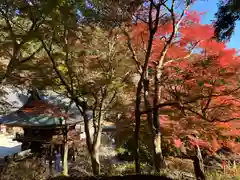 普門寺(切り絵御朱印発祥の寺)(愛知県)