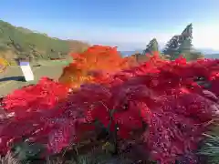 大山阿夫利神社(神奈川県)