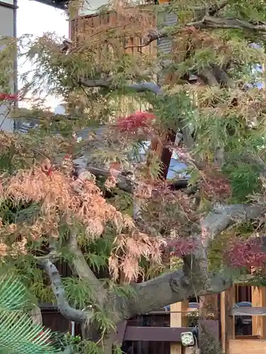 護念寺(大阪府)