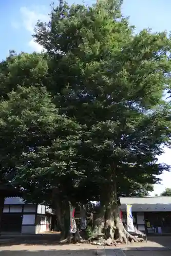 八枝神社(埼玉県)