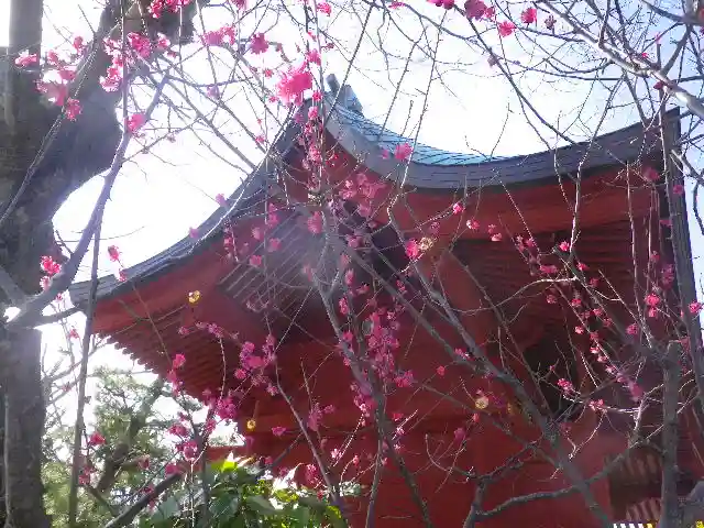鶴岡八幡宮のその他建物