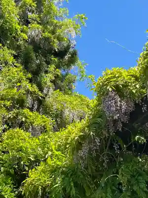 相馬神社(北海道)