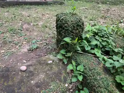 八幡神社の自然