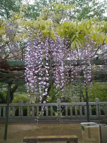 木華佐久耶比咩神社の自然