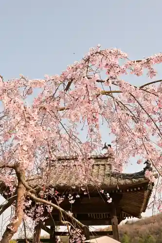 無量寺(愛媛県)
