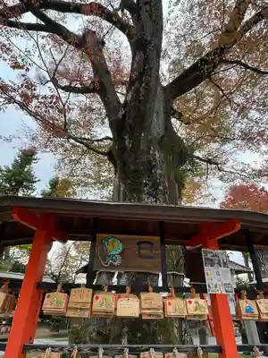 上野総社神社(群馬県)