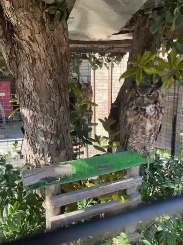 宮地嶽神社の御朱印
