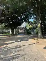 一瓶塚稲荷神社(栃木県)