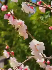 豊國神社(大阪府)