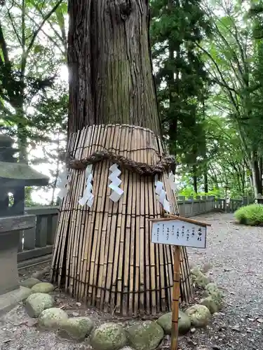 手長神社(長野県)