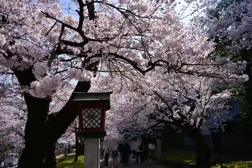 彌彦神社(新潟県)