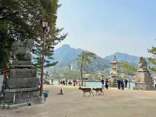 厳島神社(広島県)