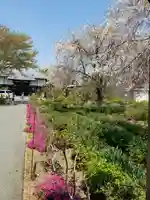 長福寺の庭園