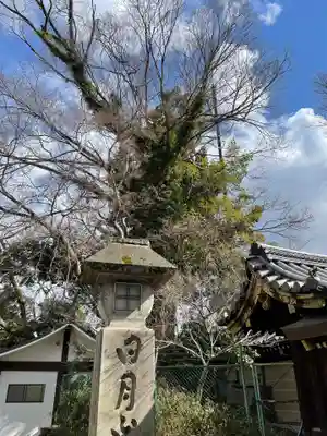 北野天満宮のその他建物