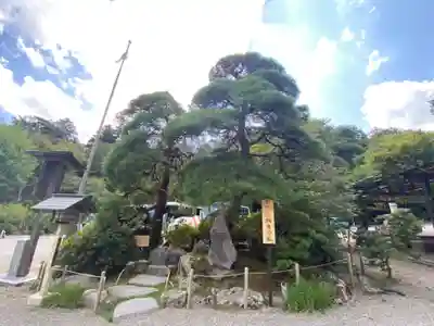 宝登山神社(埼玉県)