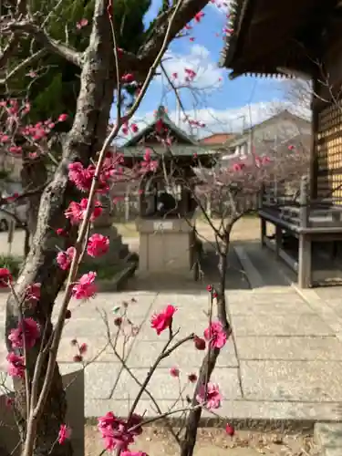 休天神社の自然