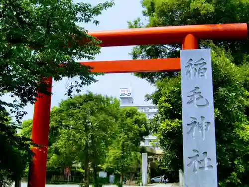 稲毛神社の鳥居