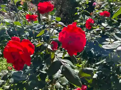和合神社(福井県)