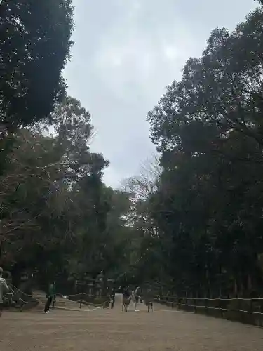 春日大社(奈良県)