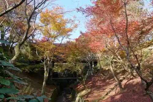 東福禅寺（東福寺）の景色