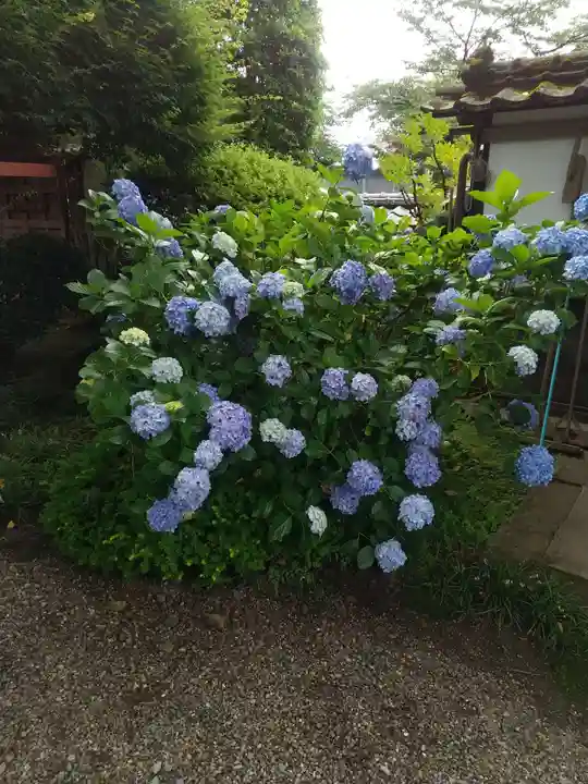 柳沢寺(群馬県)
