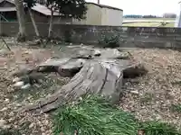 神田神社の自然
