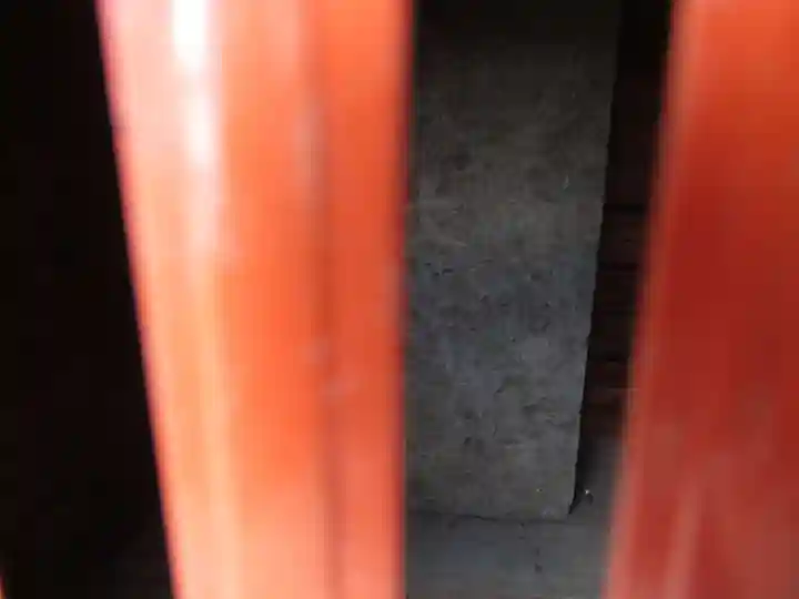 下柳香取神社(埼玉県)