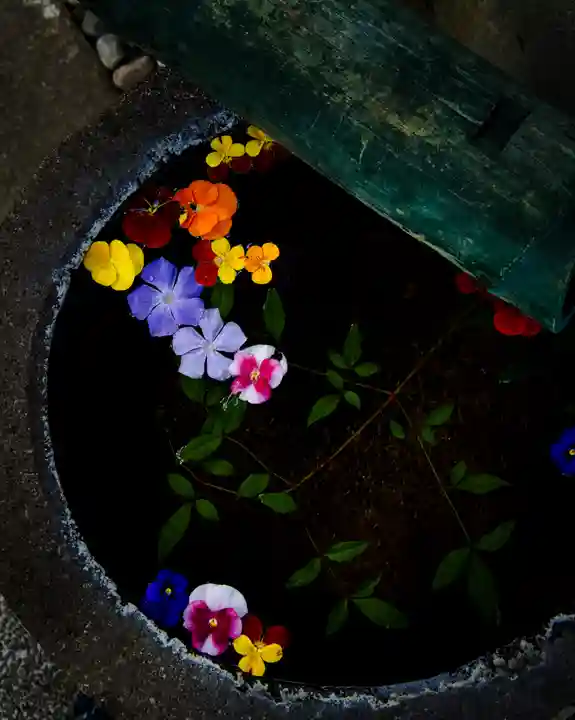 今市報徳二宮神社(栃木県)