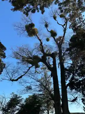 比々多神社の{uncategorized: "未分類", other: "その他", undefined: "問題あり", building: "その他建物", grave: "お墓", sacred_gate: "鳥居", guardian: "狛犬", statue: "像", buddha: "仏像", history: "歴史", nature: "自然", garden: "庭園", animal: "動物", pagoda: "塔", temizu: "手水舎", mountain_gate: "山門・神門", sanctuary: "本殿・本堂", subordinate: "末社・摂社", art: "芸術", scenery: "景色", jizo: "地蔵", ema: "絵馬", goshuin: "御朱印", omikuji: "おみくじ", items: "授与品その他", amulet: "お守り", goshuincho: "御朱印帳", eats: "食事", festival: "お祭り", votive_dance: "神楽", shichigosan: "七五三参", wedding: "結婚式", experience: "体験その他", initially: "初詣", around: "周辺", anti_infection: "感染症対策"}