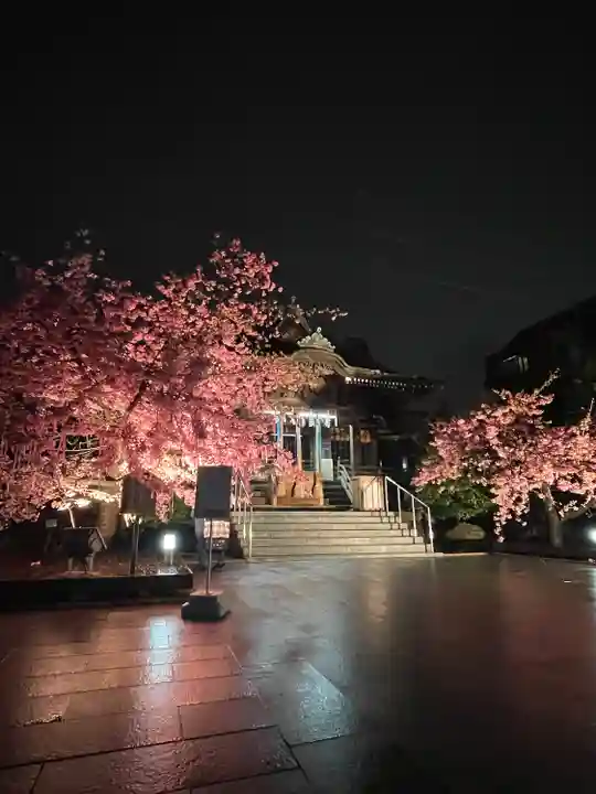 桜神宮(東京都)