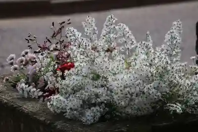 熊野福藏神社の手水舎