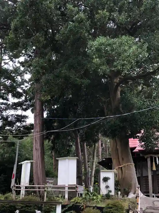 思金神社の自然