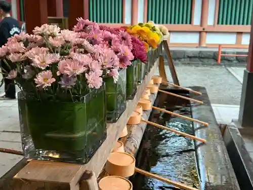 武蔵一宮氷川神社(埼玉県)
