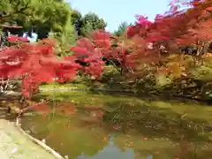 高台寺（高台寿聖禅寺・高臺寺）(京都府)