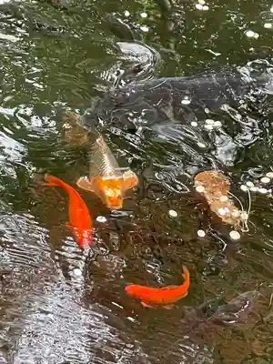 白石神社(北海道)