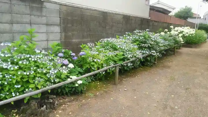 日吉八王子神社の庭園
