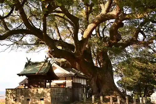 天満神社(愛媛県)