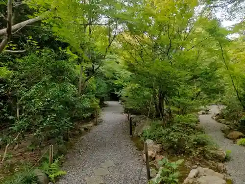 宝筐院(京都府)