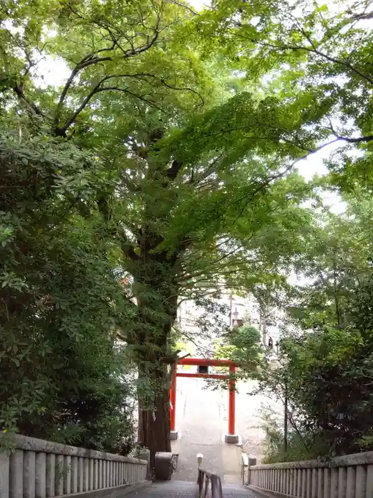 雷神社の自然