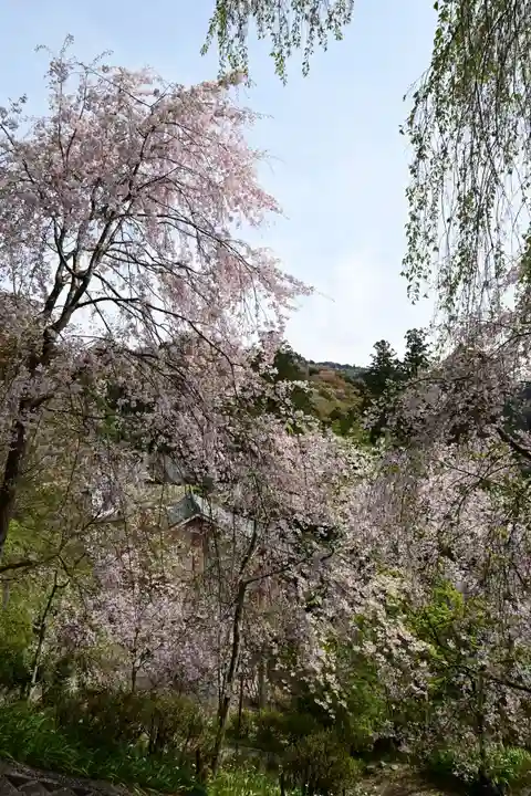 如意輪寺(奈良県)