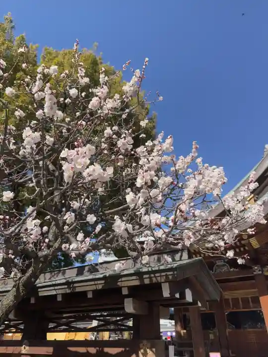 湯島天満宮の{uncategorized: "未分類", other: "その他", undefined: "問題あり", building: "その他建物", grave: "お墓", sacred_gate: "鳥居", guardian: "狛犬", statue: "像", buddha: "仏像", history: "歴史", nature: "自然", garden: "庭園", animal: "動物", pagoda: "塔", temizu: "手水舎", mountain_gate: "山門・神門", sanctuary: "本殿・本堂", subordinate: "末社・摂社", art: "芸術", scenery: "景色", jizo: "地蔵", ema: "絵馬", goshuin: "御朱印", omikuji: "おみくじ", items: "授与品その他", amulet: "お守り", goshuincho: "御朱印帳", eats: "食事", festival: "お祭り", votive_dance: "神楽", shichigosan: "七五三参", wedding: "結婚式", experience: "体験その他", initially: "初詣", around: "周辺", anti_infection: "感染症対策"}