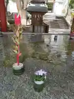 太宰府天満宮の手水舎