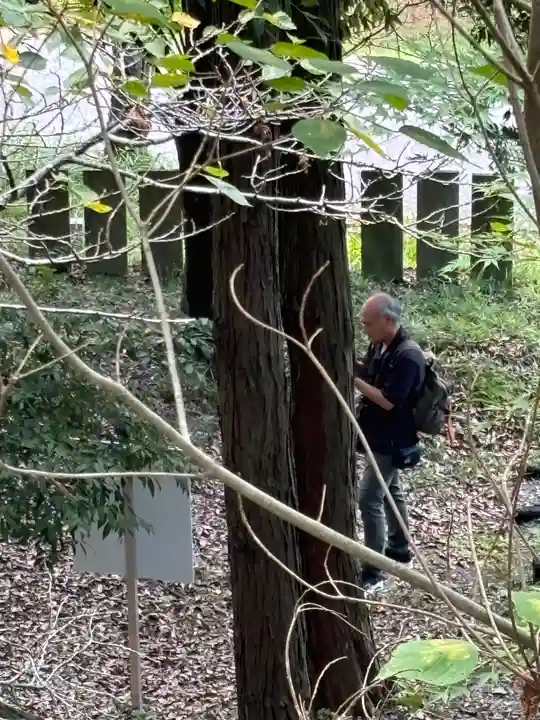 古法華寺(多聞寺境外仏堂)のその他建物